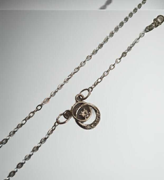 Srebrny naszyjnik ze stali nierdzewnej – stal chirurgiczna, wodoodporny, hipoalergiczny, jakość premium. Zawieszka w kształcie okręgu z centralnym kryształem i drobnymi cyrkoniami. Długość łańcuszka 42–47 cm. RougeBizu.